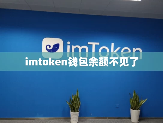 imtoken钱包余额不见了