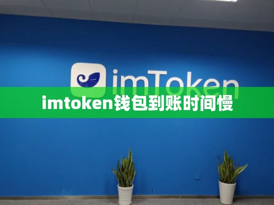 imtoken钱包到账时间慢