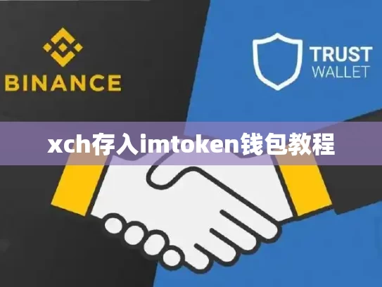 xch存入imtoken钱包教程