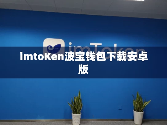 imtoKen波宝钱包下载安卓版