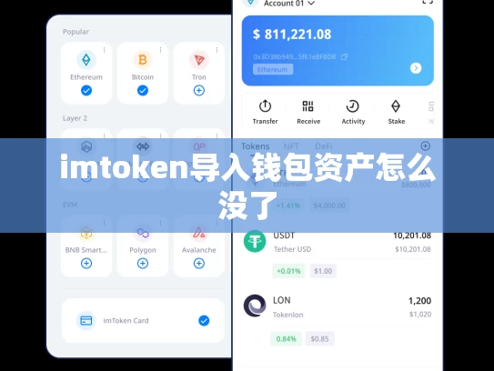 imtoken导入钱包资产怎么没了