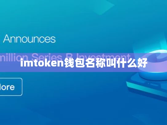 imtoken钱包名称叫什么好