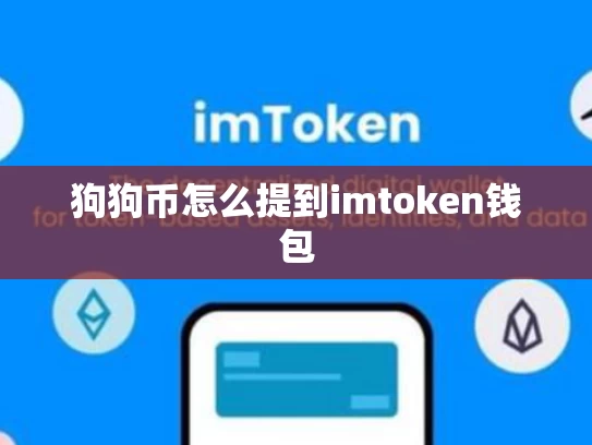 狗狗币怎么提到imtoken钱包