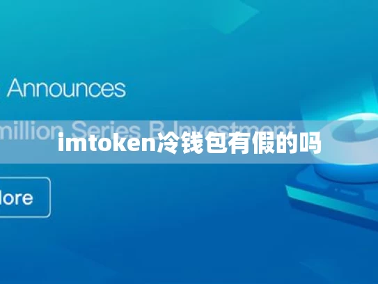 imtoken冷钱包有假的吗
