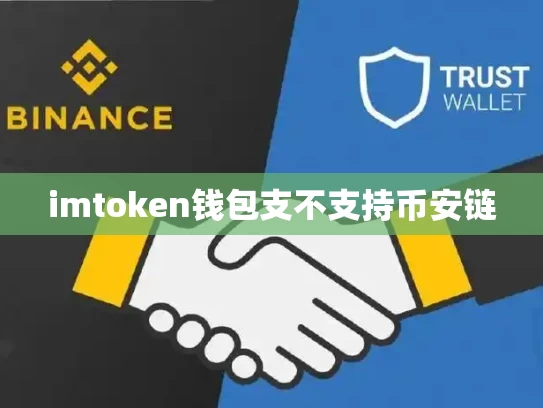 imtoken钱包支不支持币安链