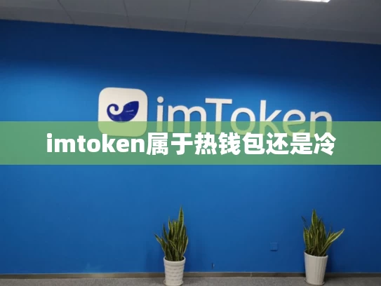 imtoken属于热钱包还是冷
