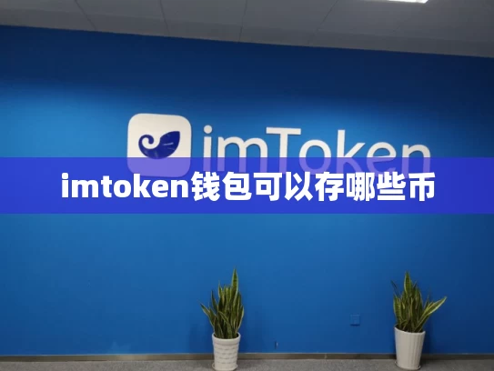 imtoken钱包可以存哪些币