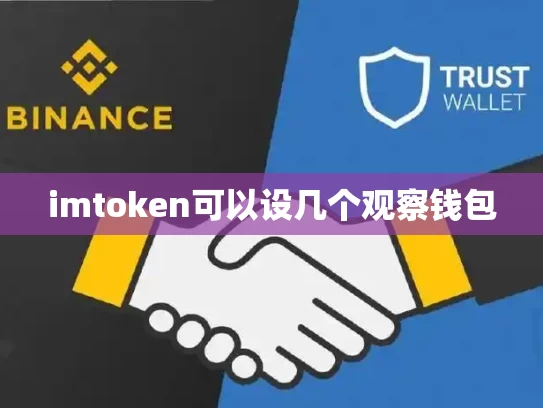 imtoken可以设几个观察钱包