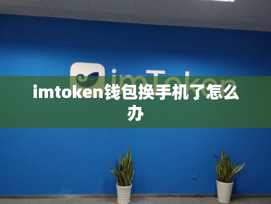 imtoken钱包换手机了怎么办