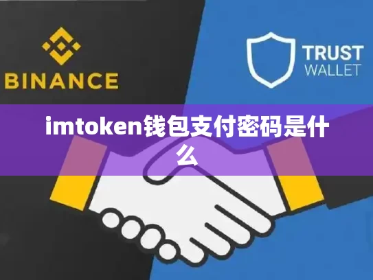imtoken钱包支付密码是什么