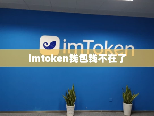 imtoken钱包钱不在了