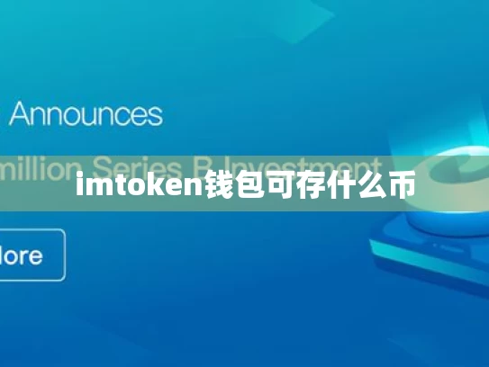 imtoken钱包可存什么币