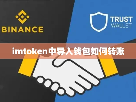 imtoken中导入钱包如何转账
