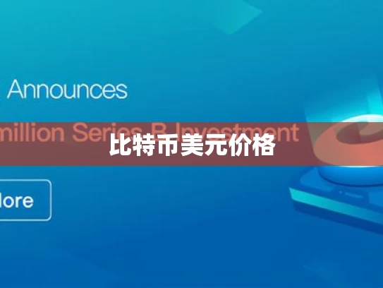 比特币美元价格
