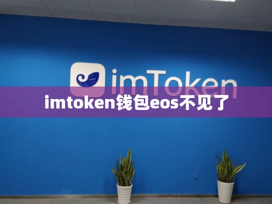 imtoken钱包eos不见了