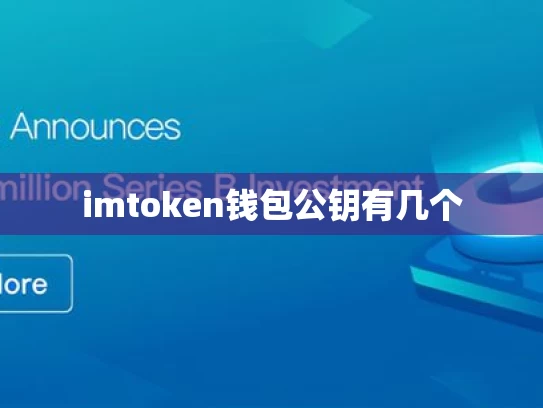 imtoken钱包公钥有几个