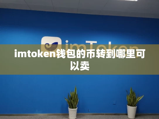 imtoken钱包的币转到哪里可以卖