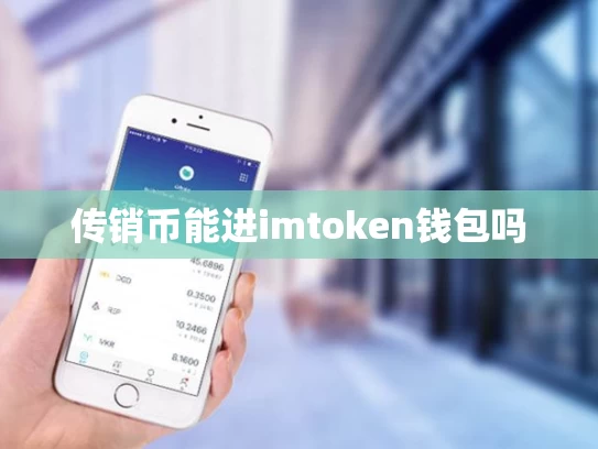 传销币能进imtoken钱包吗