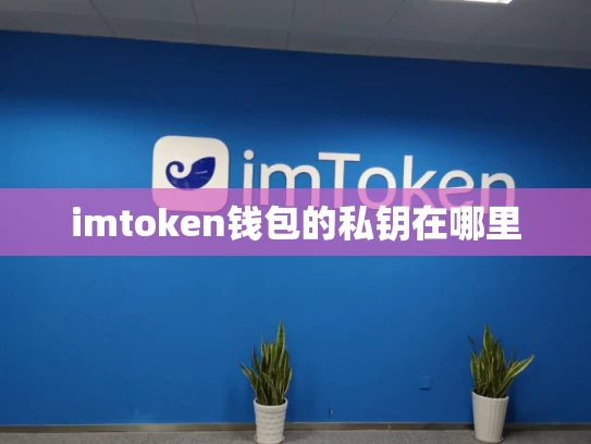 imtoken钱包的私钥在哪里