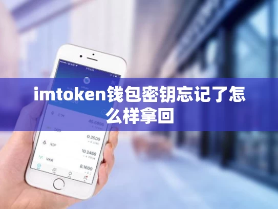 imtoken钱包密钥忘记了怎么样拿回