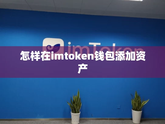 怎样在imtoken钱包添加资产