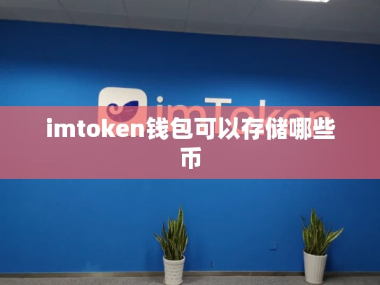 imtoken钱包可以存储哪些币
