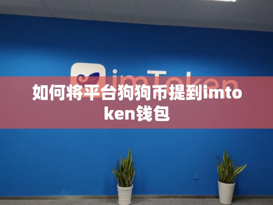 如何将平台狗狗币提到imtoken钱包