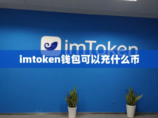 imtoken钱包可以充什么币