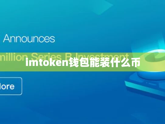 imtoken钱包能装什么币