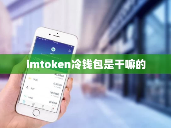 imtoken冷钱包是干嘛的