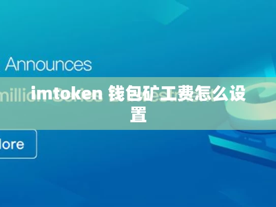 imtoken 钱包矿工费怎么设置