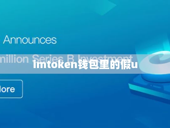 imtoken钱包里的假u