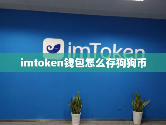 imtoken钱包怎么存狗狗币