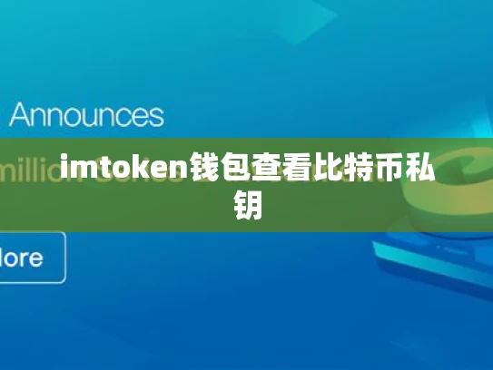 imtoken钱包查看比特币私钥