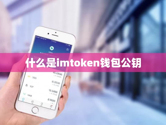 什么是imtoken钱包公钥