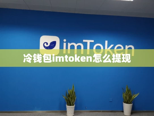 冷钱包imtoken怎么提现