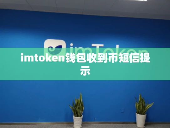 imtoken钱包收到币短信提示