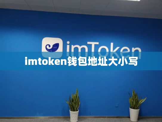 imtoken钱包地址大小写