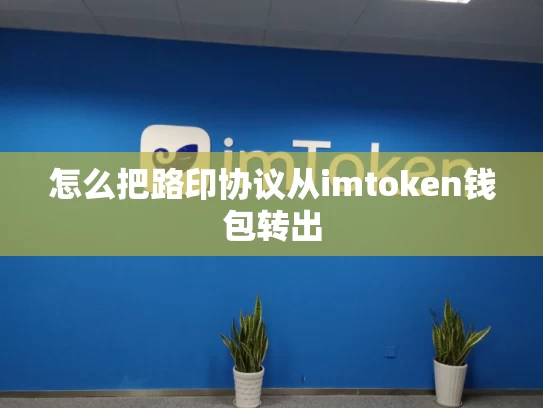 怎么把路印协议从imtoken钱包转出