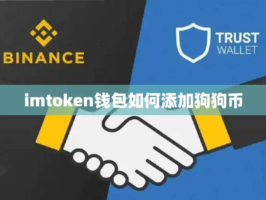 imtoken钱包如何添加狗狗币