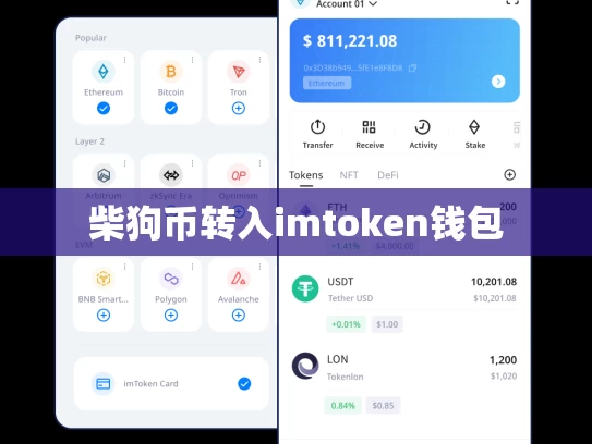 柴狗币转入imtoken钱包