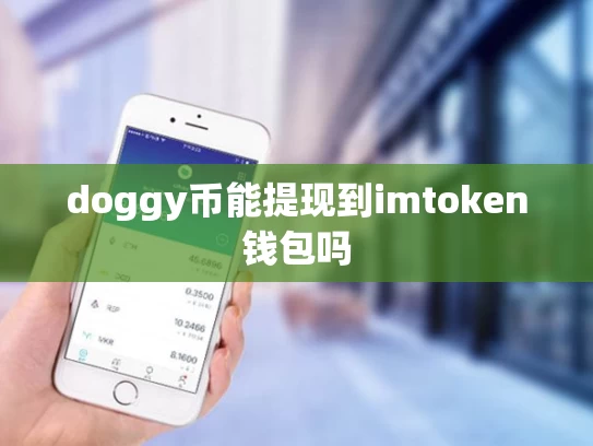doggy币能提现到imtoken钱包吗