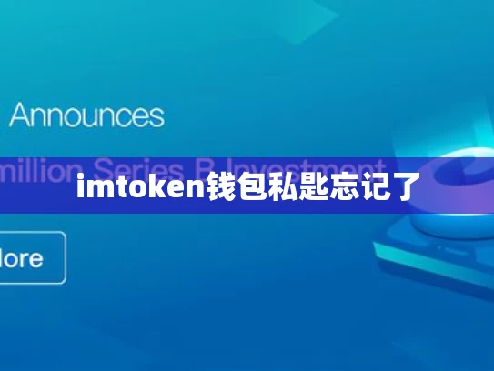 imtoken钱包私匙忘记了