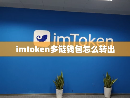 imtoken多链钱包怎么转出