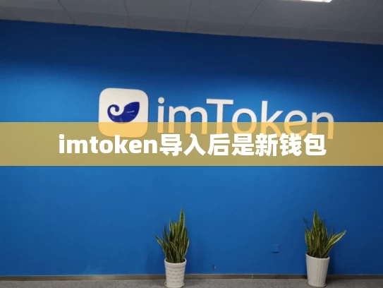 imtoken导入后是新钱包