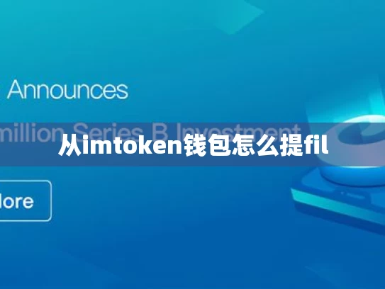 从imtoken钱包怎么提fil