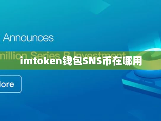 imtoken钱包SNS币在哪用