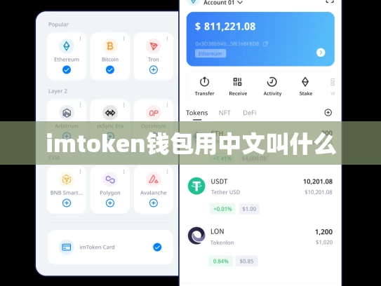 imtoken钱包用中文叫什么