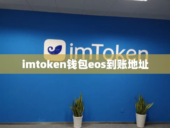 imtoken钱包eos到账地址