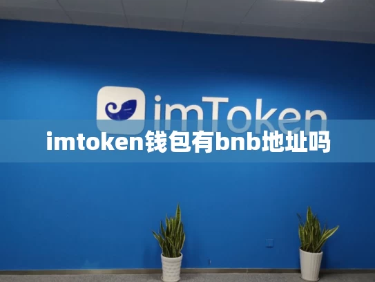 imtoken钱包有bnb地址吗